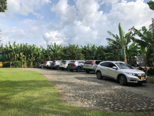 a row of cars parked in a parking lot at Finca Hotel Brasilia in La Tebaida