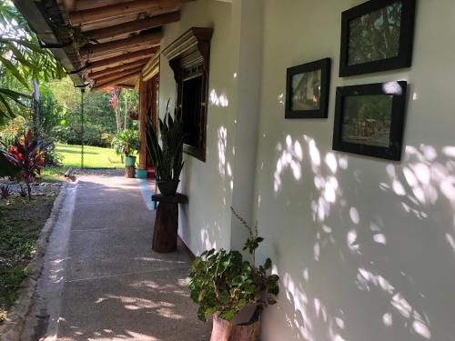a white building with plants on the side of it at Finca Hotel Brasilia in La Tebaida