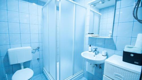 a bathroom with a shower and a sink and a toilet at Alpin Apartments Vlašić in Vlasic