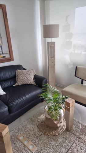 a living room with a blue couch and a plant at Jardin Del Mar, Av del Mar in Coquimbo