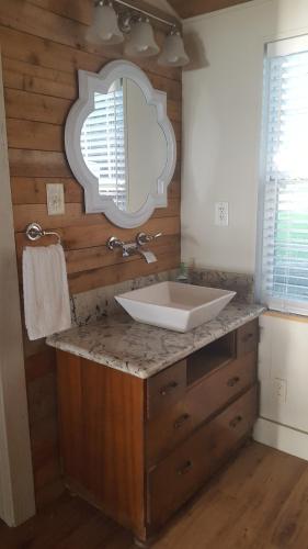 a bathroom with a sink and a mirror at Lake Front cottage in Little Elm