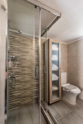 a bathroom with a glass shower with a toilet at Santa Marina Milos in Mytakas