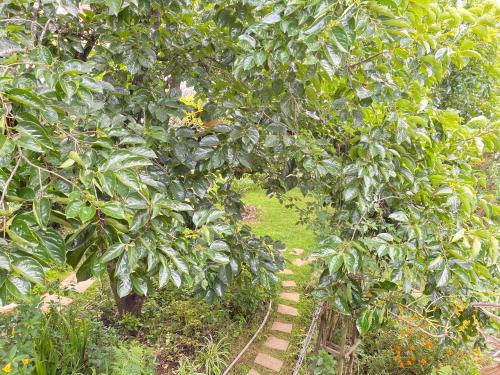 Сад в Đà Lạt Củi Homestay