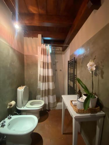 サン・カシャーノ・イン・ヴァル・ディ・ペーザにあるFienile toscano con piscina privataのバスルーム(トイレ、洗面台付)