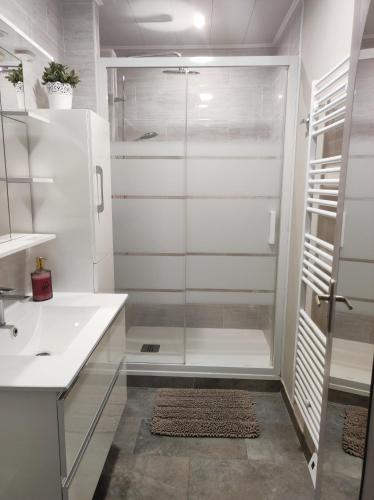 une salle de bain blanche avec une douche et un lavabo dans l'établissement Le balcon de la basse centre ville de Perpignan, à Perpignan