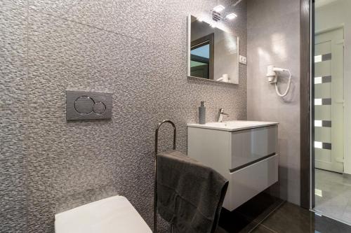 La salle de bains est pourvue de toilettes, d'un lavabo et d'un miroir. dans l'établissement Kővágó Vendégház Nagyfoki holtág, à Szarvas