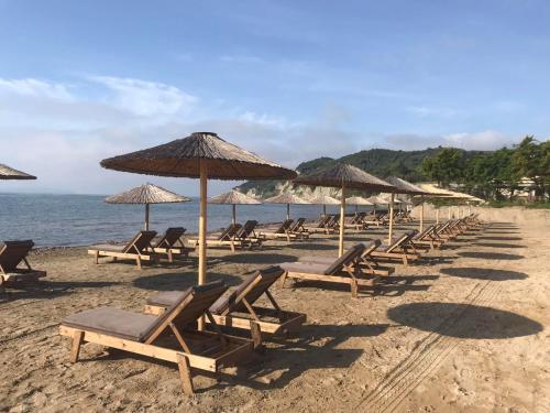 a row of chairs and umbrellas on a beach at Mediterranean Blue in Kavos