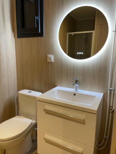 een badkamer met een toilet, een wastafel en een spiegel bij Au fil de l’eau, gîte nature in Abbécourt