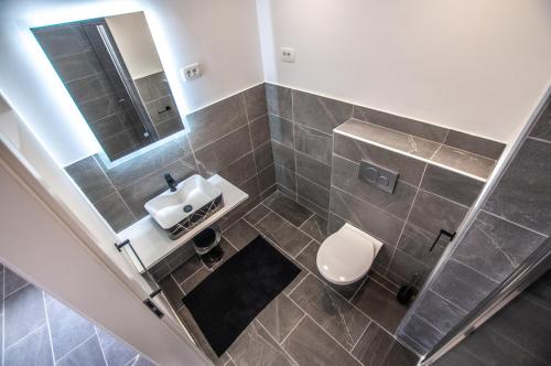 a bathroom with a toilet and a sink and a mirror at Old Mill House in Bohinj