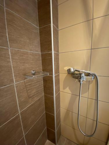 a shower with a shower head in a bathroom at Angela Hotel & Apartments in Gouvia