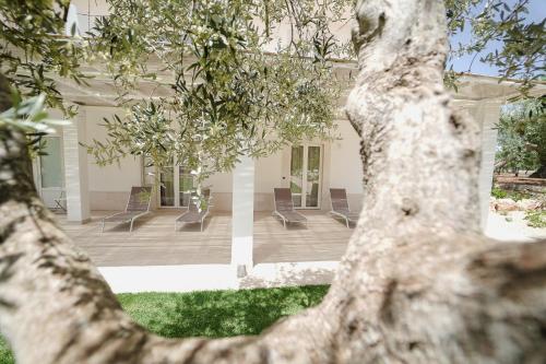 a house with chairs and trees in the yard at ALMASOL - Charme Experience in Castellana Grotte