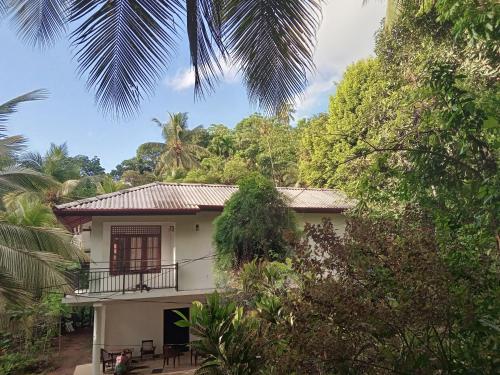 a house with a balcony in the middle of trees at Jungle Village Homestay in Pinnawala