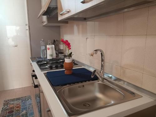 Kuchyň nebo kuchyňský kout v ubytování Casa AuroraRosa