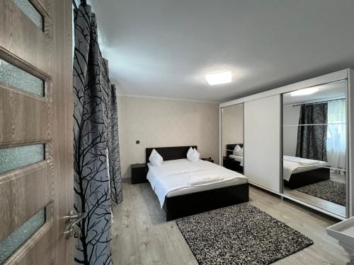- une chambre avec un lit et un miroir dans l'établissement Casuta de vacanta, à Călimăneşti