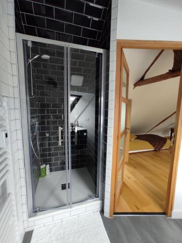 a walk in shower in a room with a glass door at Aux Trois Palmiers in Saint-Brieuc