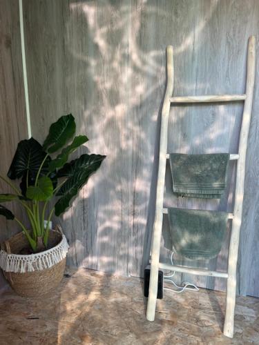 una escalera de madera apoyada en una pared con una planta en Bulle Time Flies - logement insolite, en Bouillon