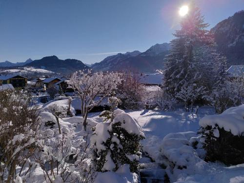 a snow covered yard with a tree and mountains at Sunrise Belvedere Pfronten in Pfronten