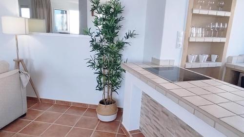 托羅克斯科斯塔的住宿－Apartamento Torrox Vibes Frente al Mar，放在柜台上,种植植物的厨房