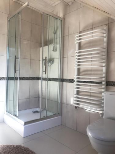 a glass shower in a bathroom with a toilet at Nad Potokiem in Wapienne