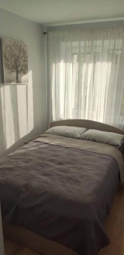 1 cama en un dormitorio con ventana en Butas miesto centre/ Apartment in the city center, en Šiauliai