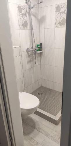 y baño con ducha, aseo y lavamanos. en Butas miesto centre/ Apartment in the city center, en Šiauliai
