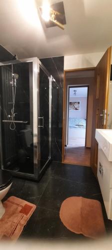 a bathroom with a shower and a toilet and a sink at Apartament przy Rynku in Białystok