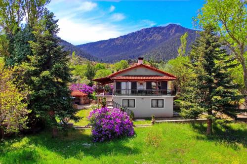 una casa en medio de un campo con árboles en Villa Arcadia en Vlakhérna