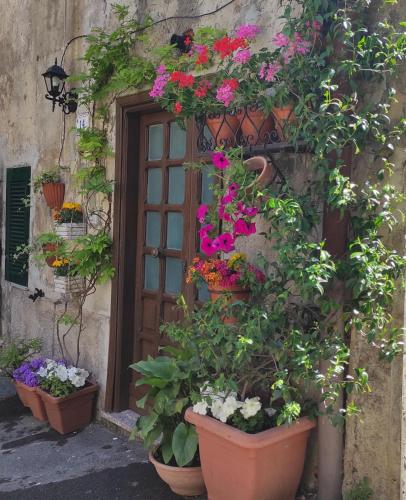 Gallery image of Le Case di Fe - Pagliari House in Ronciglione