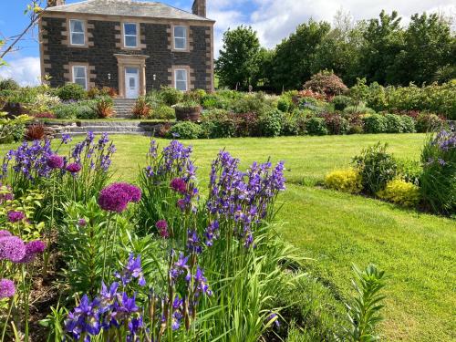 a garden with purple flowers in front of a house at Fordbank House in Newton Stewart