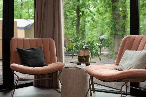 two chairs with pillows sitting in front of a window at Buitenplaats Petersburg in Arnhem