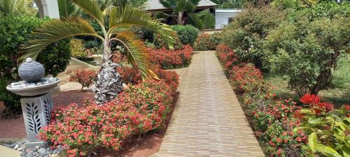 a walkway through a garden with colorful flowers at Seashell Beach Villa in Grand'Anse Praslin