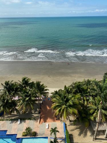 an aerial view of a beach with palm trees at Playa Azul Suites in Tonsupa