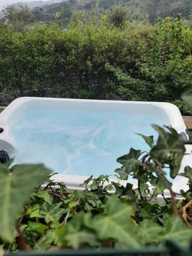 a pool of water with some plants in front of it at La casa di Elda in Sanremo