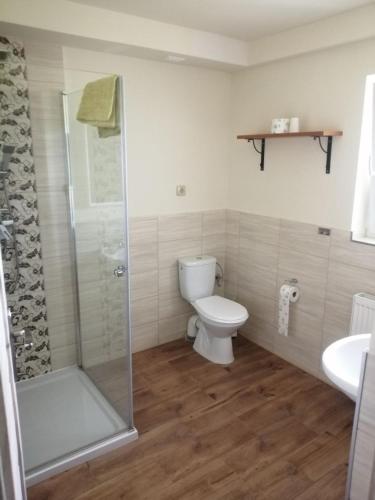 a bathroom with a toilet and a shower and a sink at Husarska Swinemünde in Świnoujście