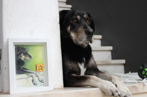 a black dog sitting next to a picture of a dog at 5th Element Beach House Caparica in Costa da Caparica