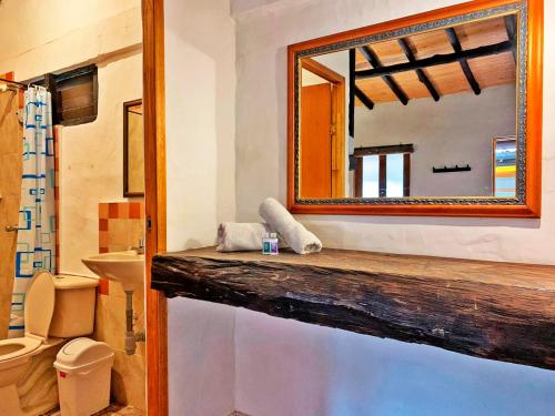 洛斯桑托斯的住宿－Cabañas y Hostal Bonanza mesa de los santos，浴室设有镜子、盥洗盆和卫生间