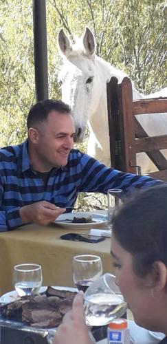 a man sitting at a table in front of a horse at Base Manzano in Tunuyán
