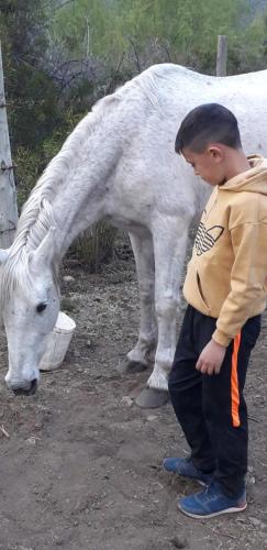 a young boy standing next to a white horse at Base Manzano in Tunuyán