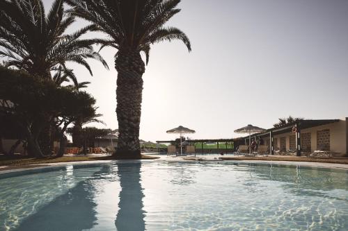 Πισίνα στο ή κοντά στο Tylissos Beach Hotel - Adults Only