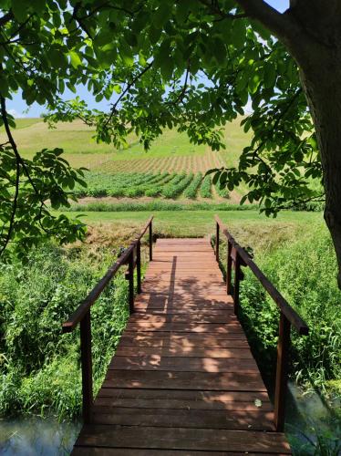 a wooden bridge over a river in a field at Pod orehom drvena kuća i sauna in Krapina
