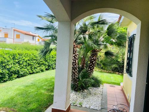 an archway leading to a yard with a palm tree at Villa Claudia a 400m dal mare in Porto Recanati
