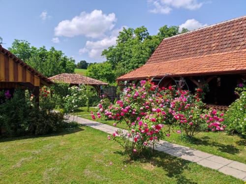 Vrt ispred objekta Pod orehom drvena kuća i sauna