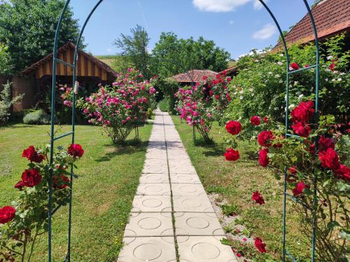 a path in a garden with red roses at Pod orehom drvena kuća i sauna in Krapina