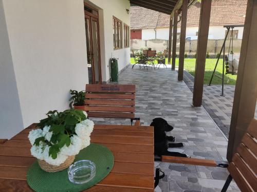 a table with a plant on it next to a dog at La Turcu in Văliug
