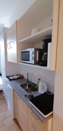 Dapur atau dapur kecil di Luna Apartments