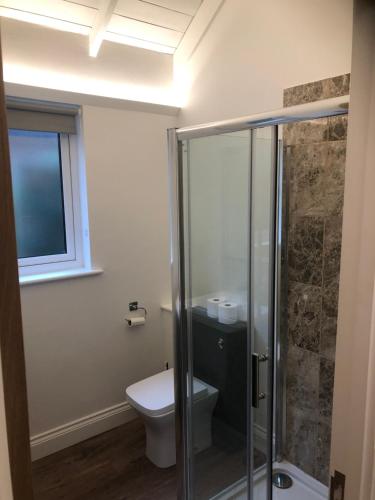 a bathroom with a toilet and a glass shower stall at Unique one bed contemporary bungalow town centre in March