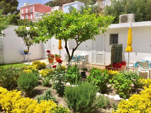 a garden in front of a house with flowers at Vento di Terra Ponza in Ponza