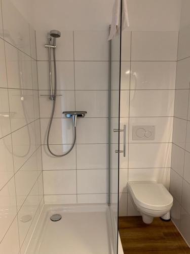 a bathroom with a shower and a toilet at Landhaus Tipp in Altenmedingen