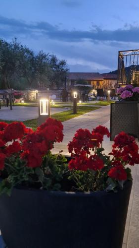 a bunch of red flowers in a planter with lights at Il Violino degli Dei Holiday House in Agerola