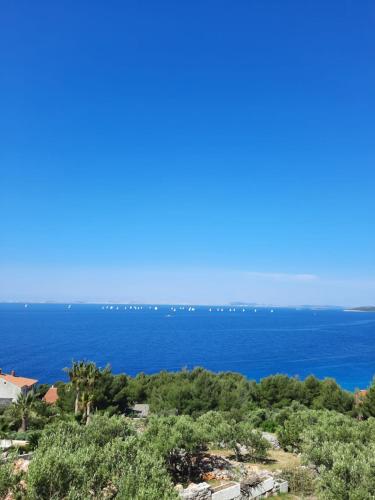 Apartment in Murter with sea view, terrace, air conditioning, Wifi 5026-3